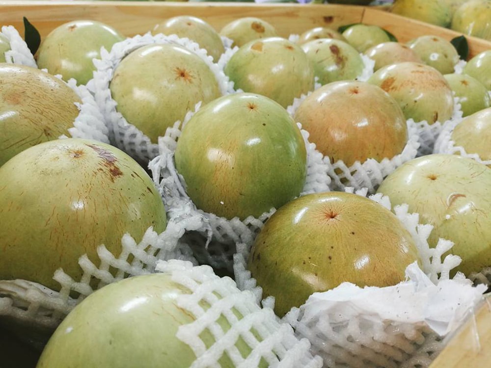 Thưởng thức ngay đặc sản vú sữa Lò Rèn